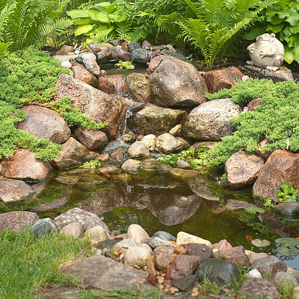 Diy Backyard Pond Kit 4' X 6'