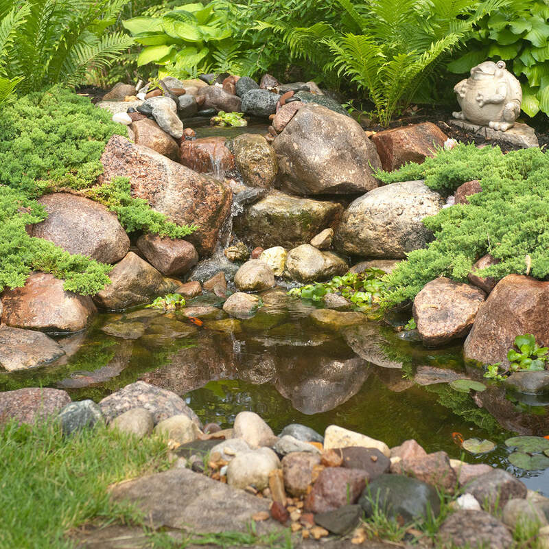 Diy Backyard Pond Kit 4' X 6'