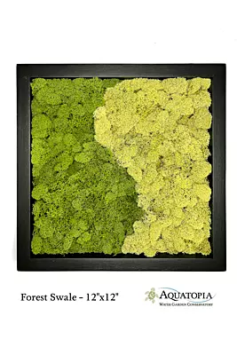 Framed Moss Wall 12" x 12" - Forest Swale