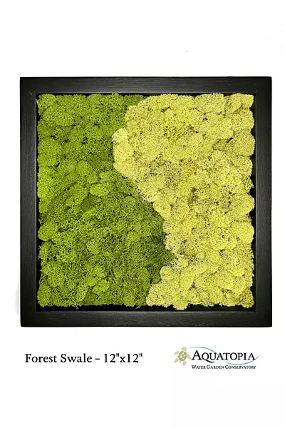 Framed Moss Wall 12" x 12" - Forest Swale