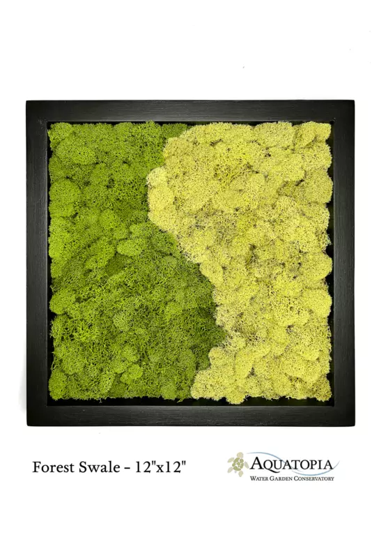 Framed Moss Wall 12" x 12" - Forest Swale