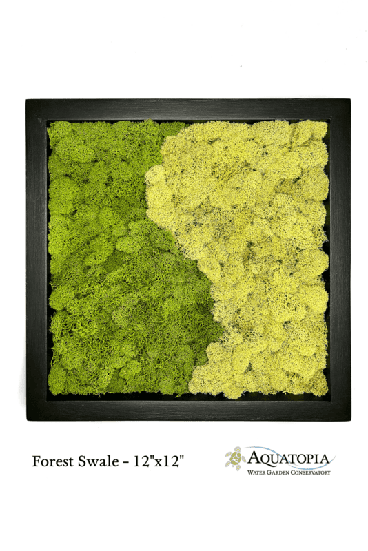 Framed Moss Wall 12" x 12" - Forest Swale