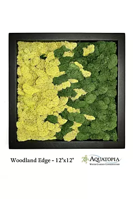 Framed Moss Wall 12" x 12" - Woodland Edge
