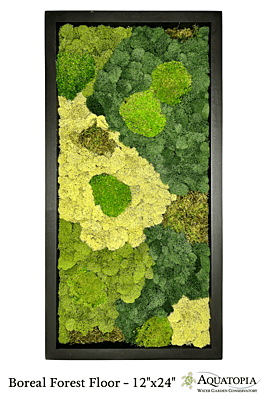 Framed Moss Wall 12" x 24" - Boreal Forest Floor