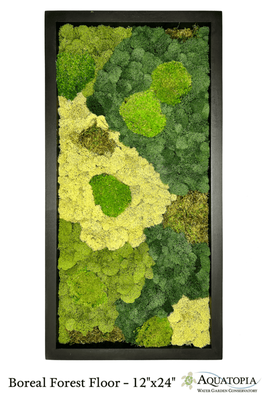 Framed Moss Wall 12" x 24" - Boreal Forest Floor