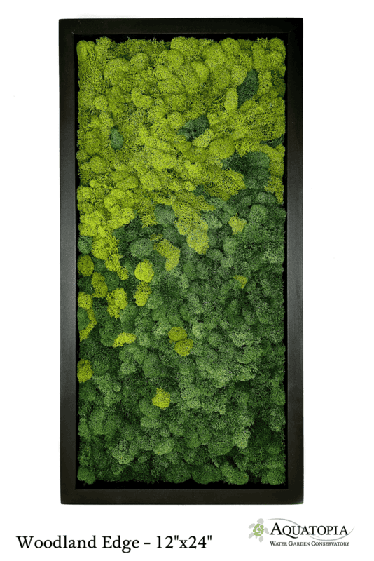 Framed Moss Wall 12" x 24" - Woodland Edge