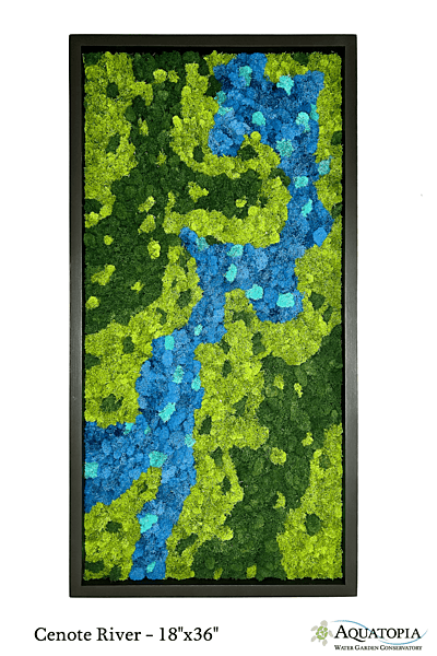 Framed Moss Wall 18" x 36" - Cenote River