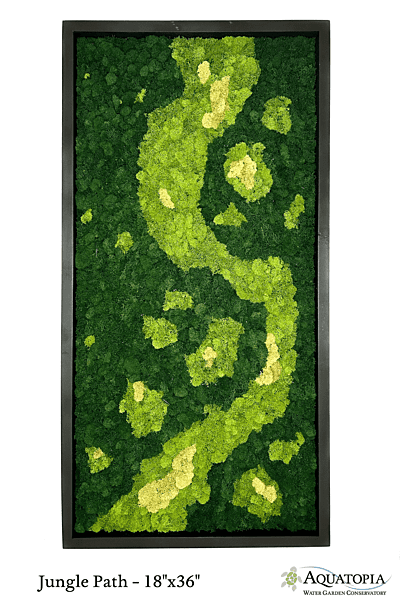 Framed Moss Wall 18" x 36" - Jungle Path