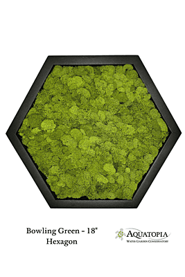 Framed Hexagon Moss Wall 18" - Bowling Green
