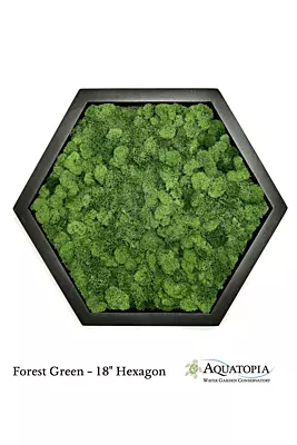 Framed Hexagon Moss Wall 18" - Forest Green