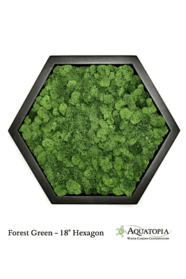 Framed Hexagon Moss Wall 18" - Forest Green