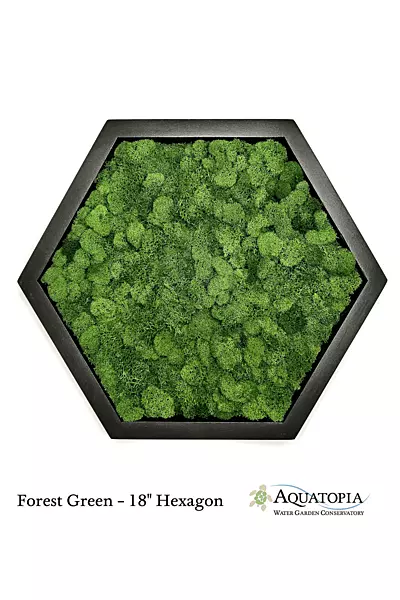 Framed Hexagon Moss Wall 18" - Forest Green