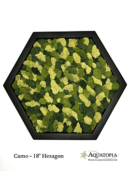 Framed Hexagon Moss Wall 18" - Camo