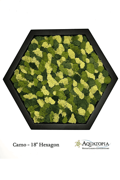 Framed Hexagon Moss Wall 18" - Camo