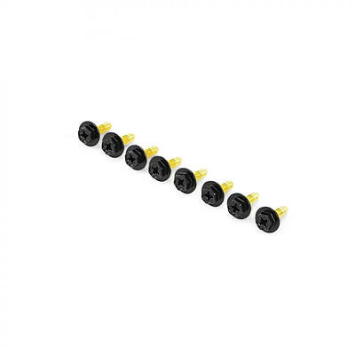 Brass Screw Set (Qty 8)