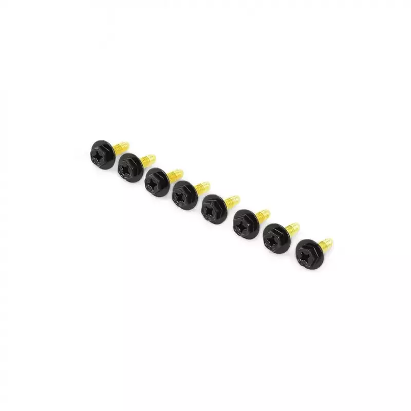 Brass Screw Set (Qty 8)