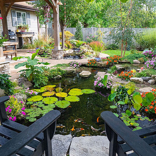 Medium Pond Kit 11' X 16' W/3-Pl 3000 Pond Pump
