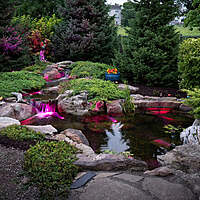 Medium Deluxe Pond Kit 11' X 16' W/Aquasurge 2000-4000 Adjustable Flow Pond Pump