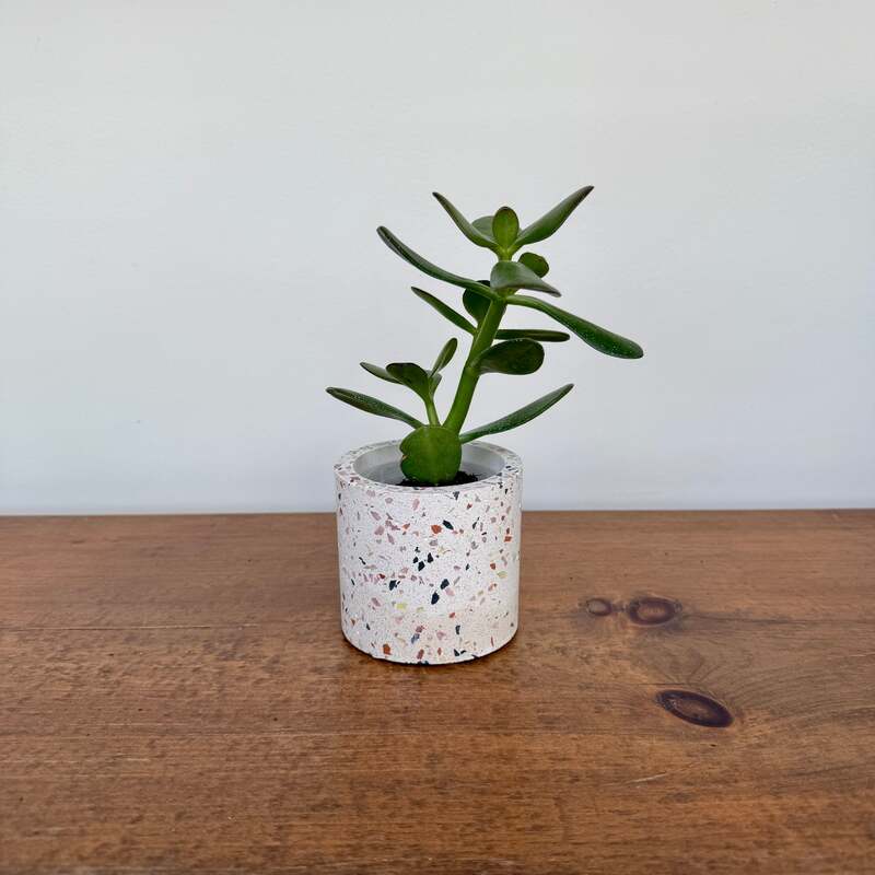 Terrazzo Pot - 3" x 2.75"