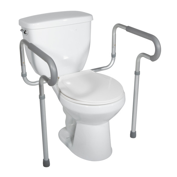 DRIRTL12000 - Toilet Safety Frame