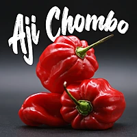Semences de piments AJI CHOMBO