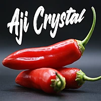 Semences de piments AJI CRYSTAL
