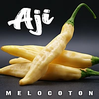 Semences de piments AJI MELOCOTON (PEACH)