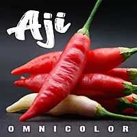 Semences de piments AJI OMNICOLOR