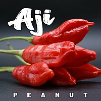 Semences de piments AJI PEANUT