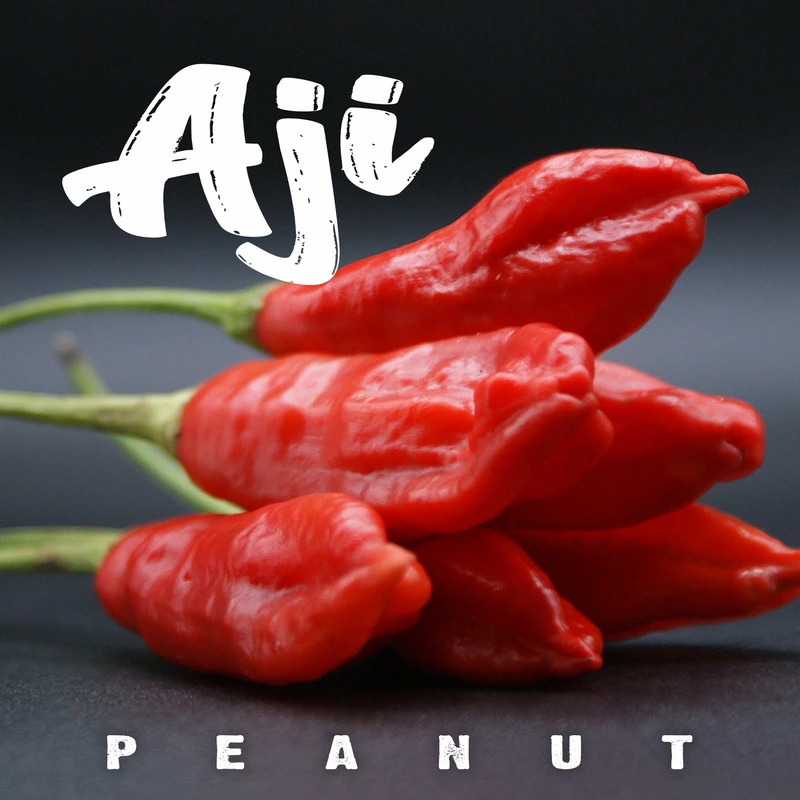 Semences de piments AJI PEANUT