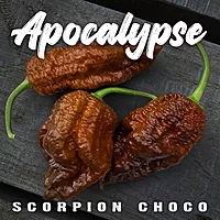 Semences de piments APOCALYPSE SCORPION CHOCO
