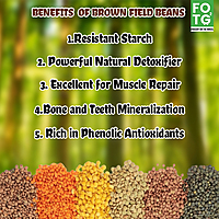 Brown Field Beans(Mochai)