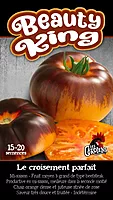 Semences de tomates Beauty King