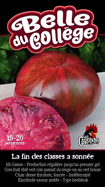 Semences de tomates La belle du collège