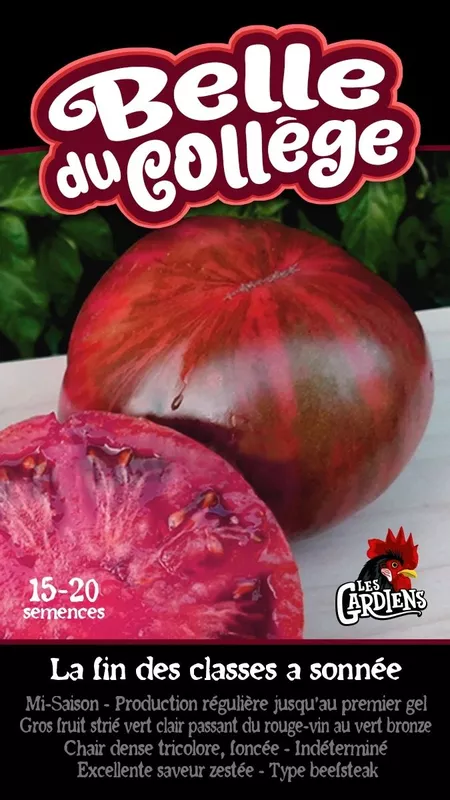 Semences de tomates La belle du collège