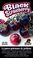 Semences de tomates Black strawberry (cerises)