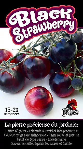 Semences de tomates Black strawberry (cerises)