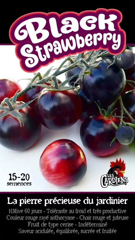 Semences de tomates Black strawberry (cerises)