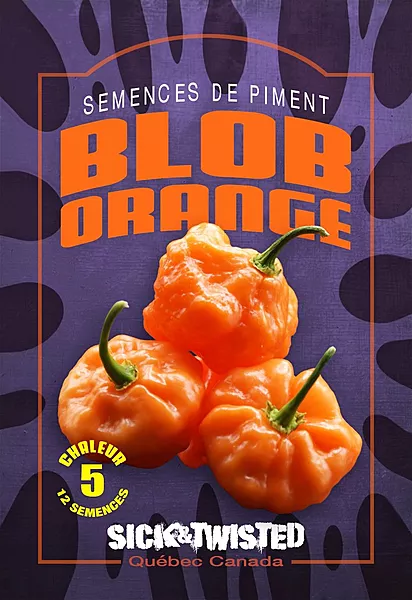 Semence de piments Blob Orange