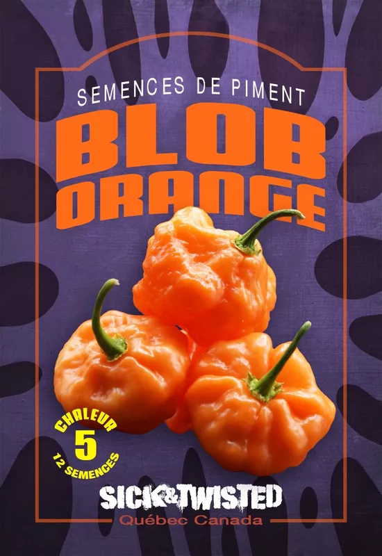 Semence de piments Blob Orange