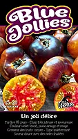 Semences de tomates BLUE JOLLIES