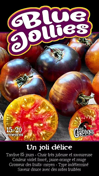 Semences de tomates BLUE JOLLIES