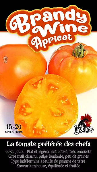 Semences de tomates Brandy wine apricot