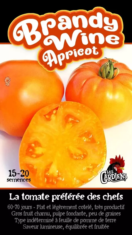 Semences de tomates Brandy wine apricot