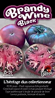 Semences de tomates Brandy wine Black