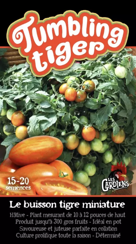 Semences de tomates Tumbling tiger