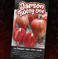 Semences de tomates Jarson twenty one
