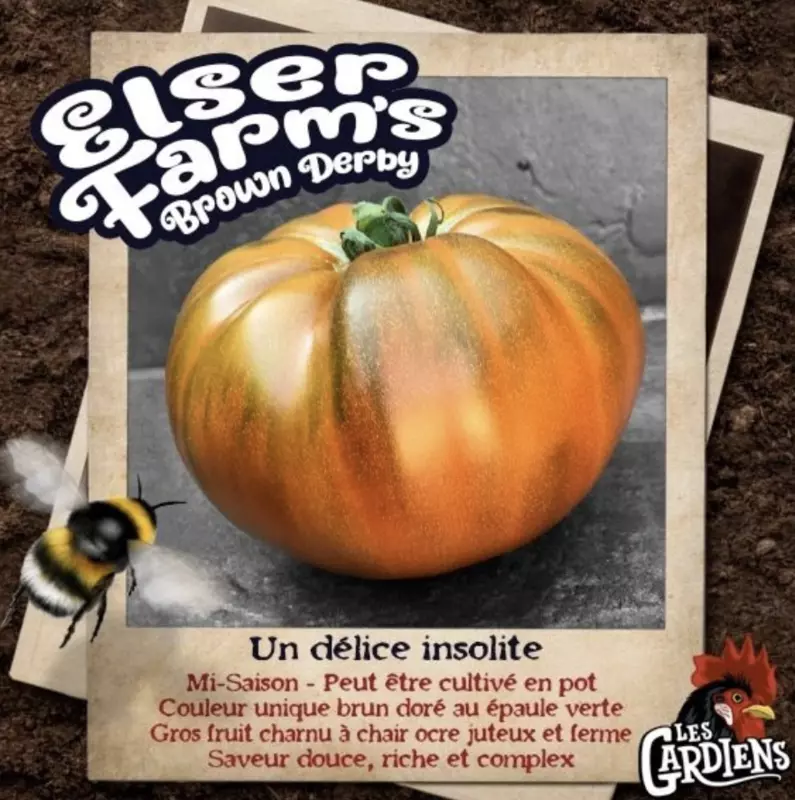 Semences de tomates Elser farm's Brown derby