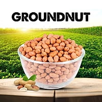 SV Homemade Raw Peanut