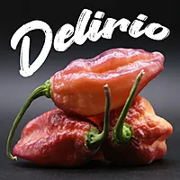 Semences de piments DELIRIO